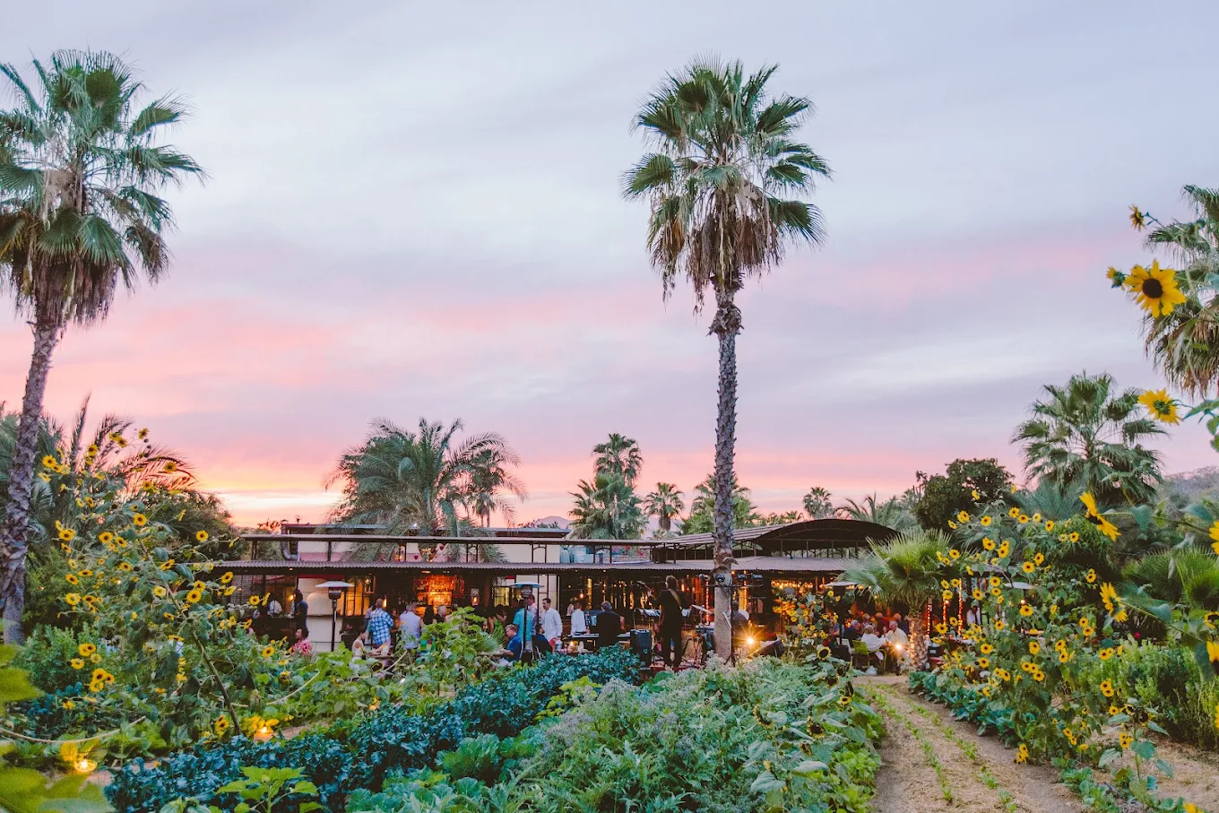 Flora Farms — farm-to-table restaurant in San José del Cabo